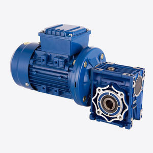 Wurm-vertikaler Gang-Reduzierer HT250 NMRV 063 Roheisen 650 zu 3360rpm